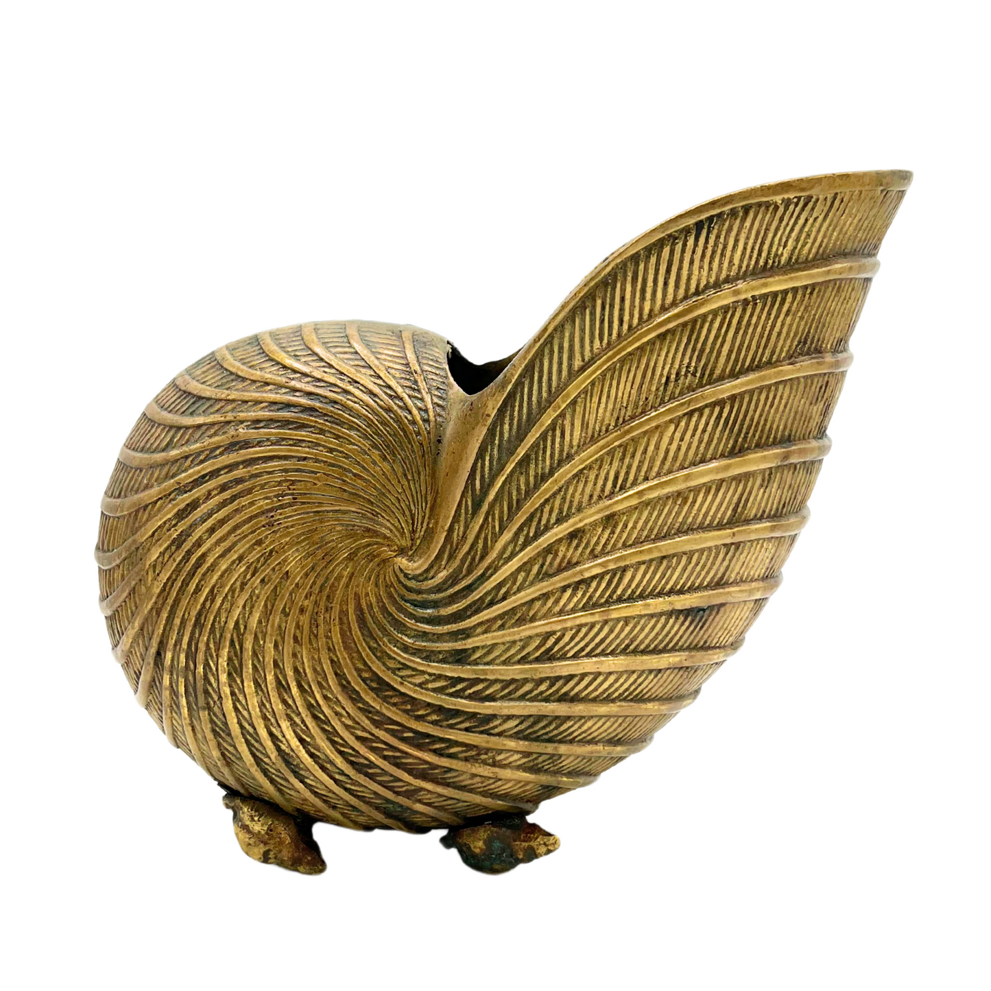 vintage brass nautilus planter