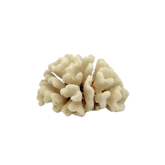vintage coral cluster