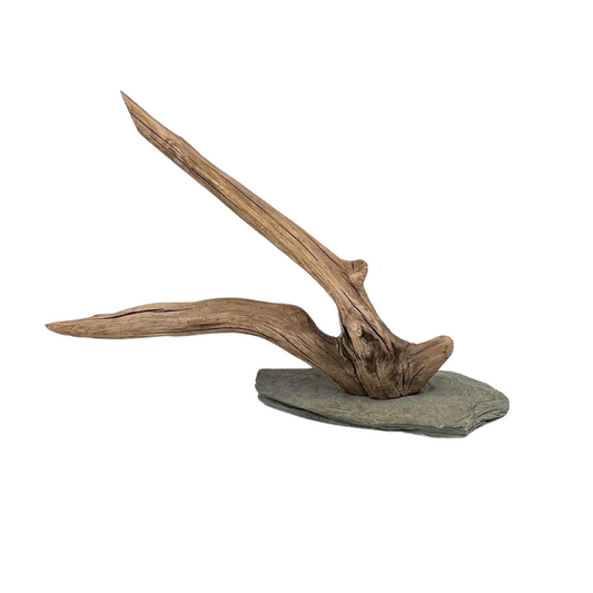 vintage driftwood on slate