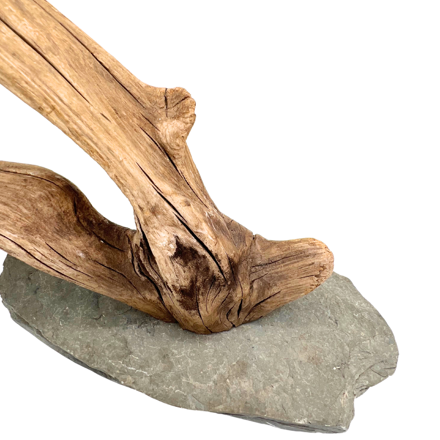 vintage driftwood on slate