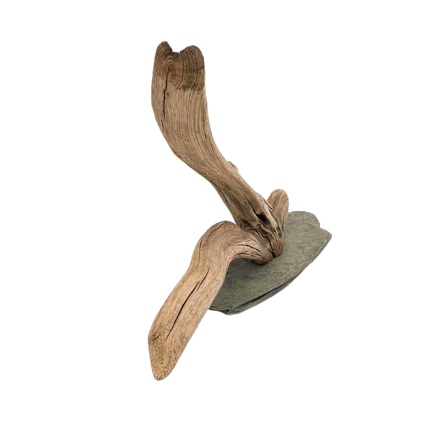 vintage driftwood on slate