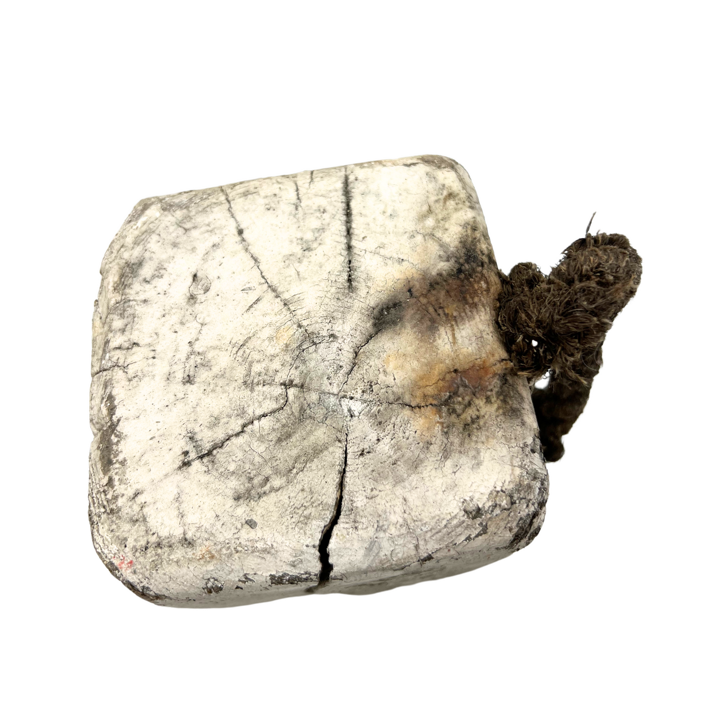 antique Block Island crab buoy