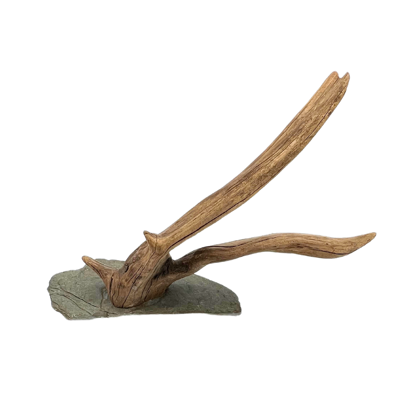 vintage driftwood on slate