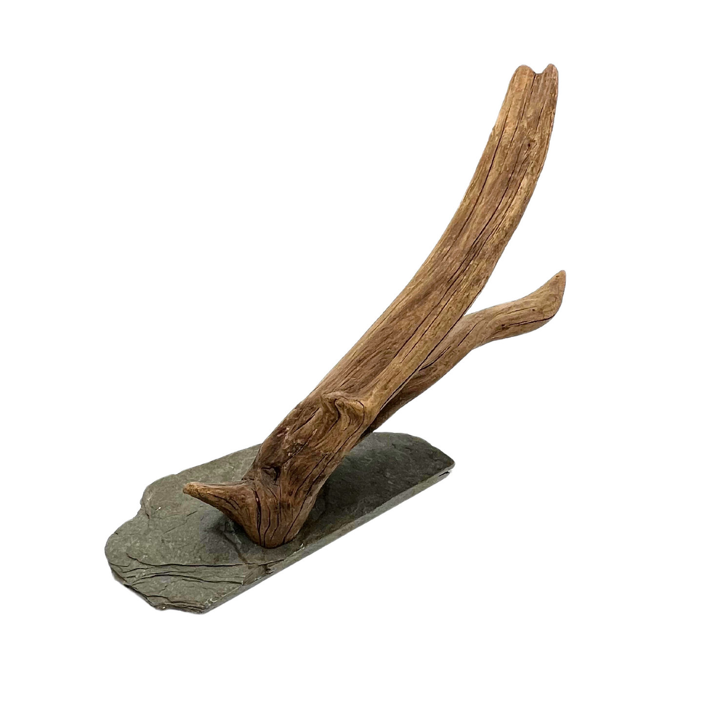 vintage driftwood on slate