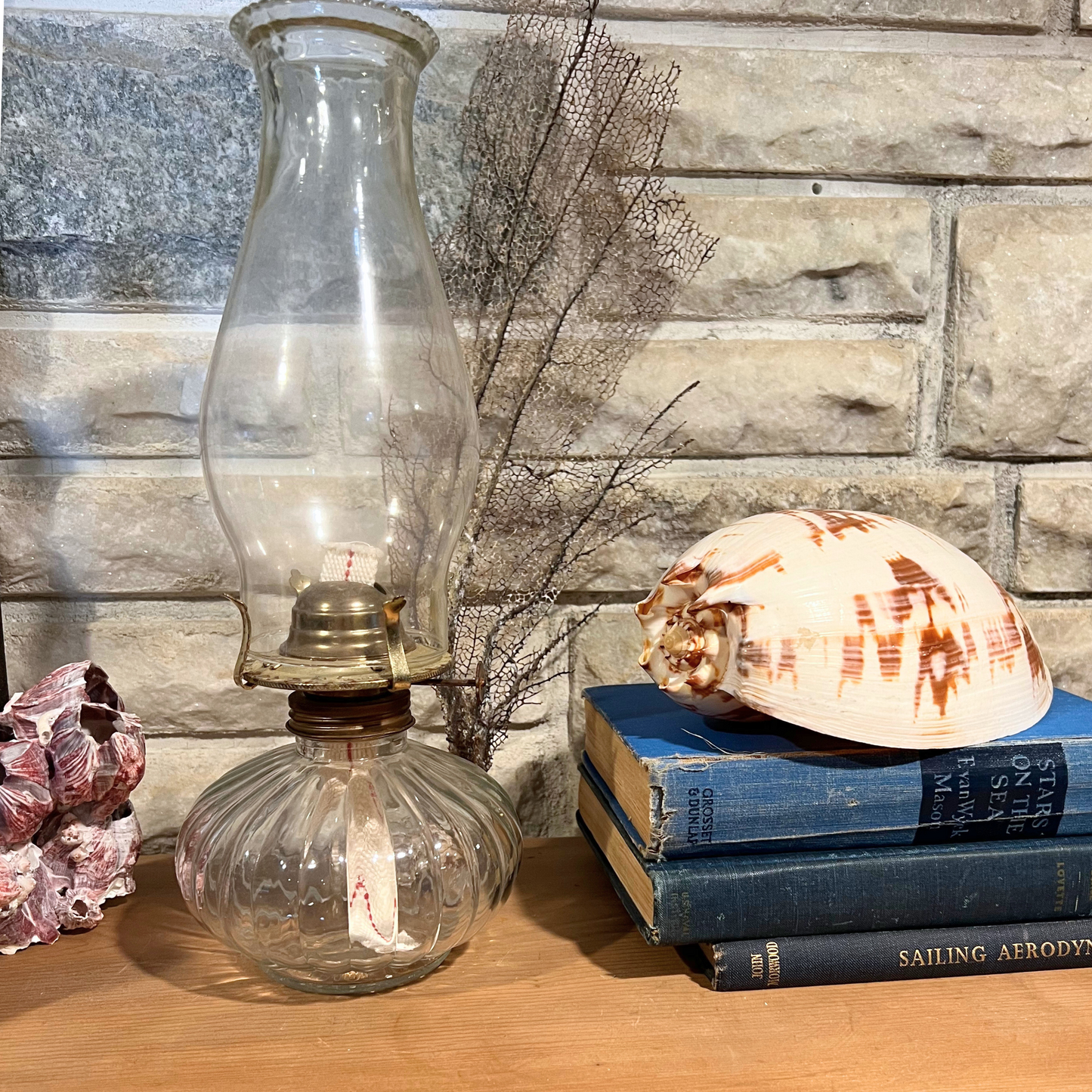 melo amphora shell