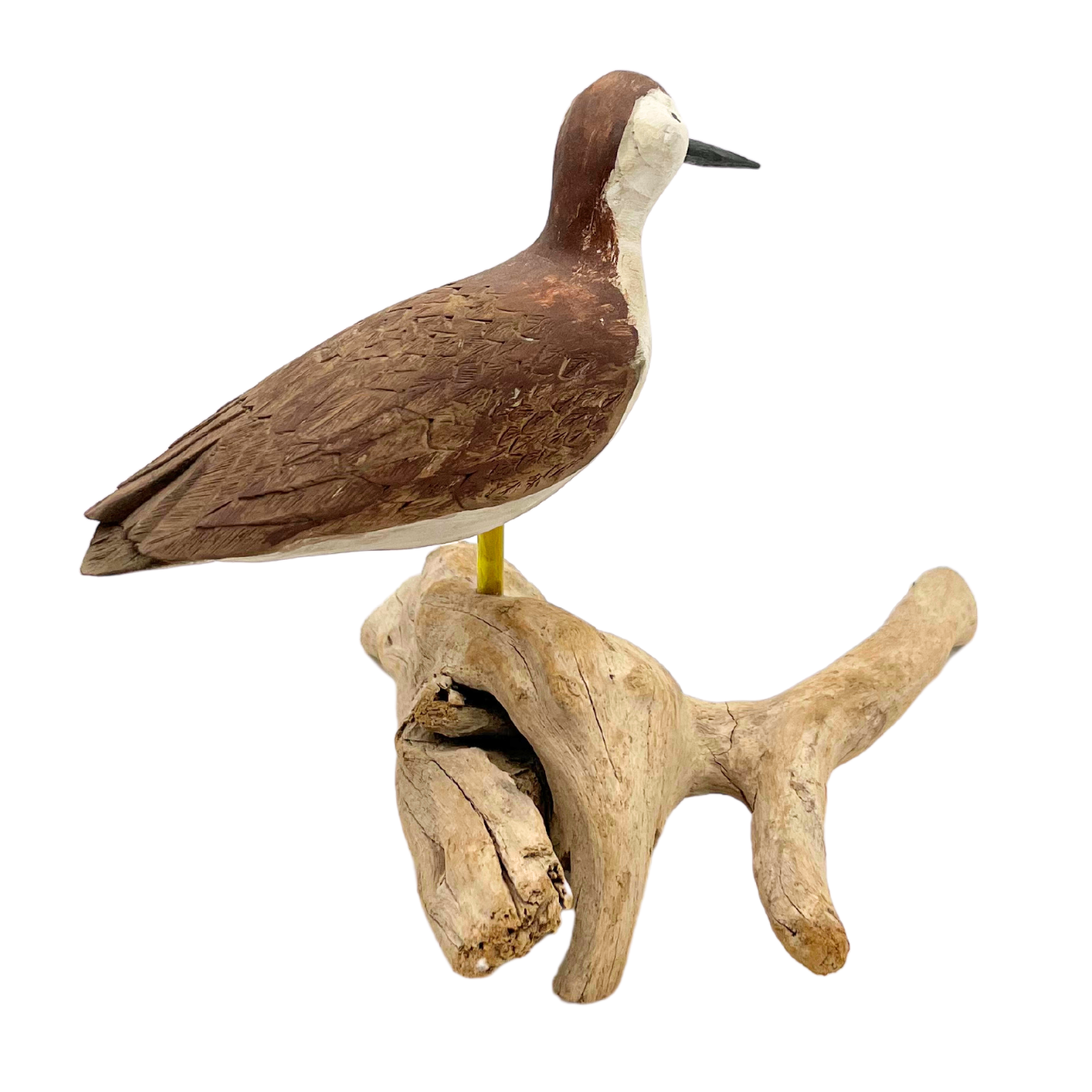 vintage shorebird on driftwood