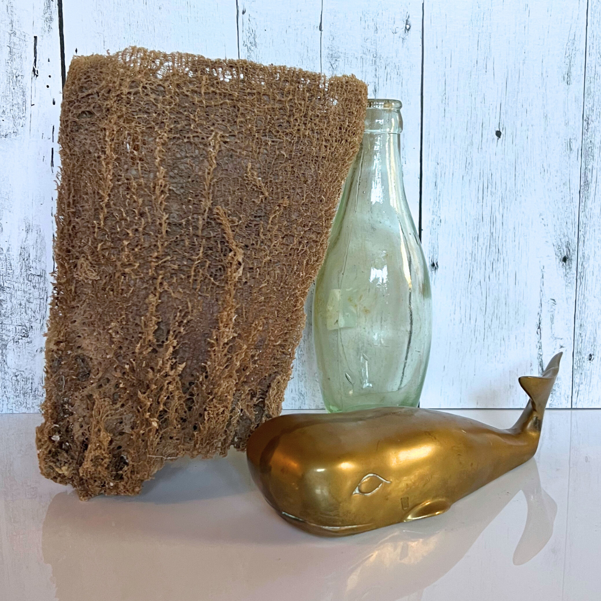 natural Florida sea sponge