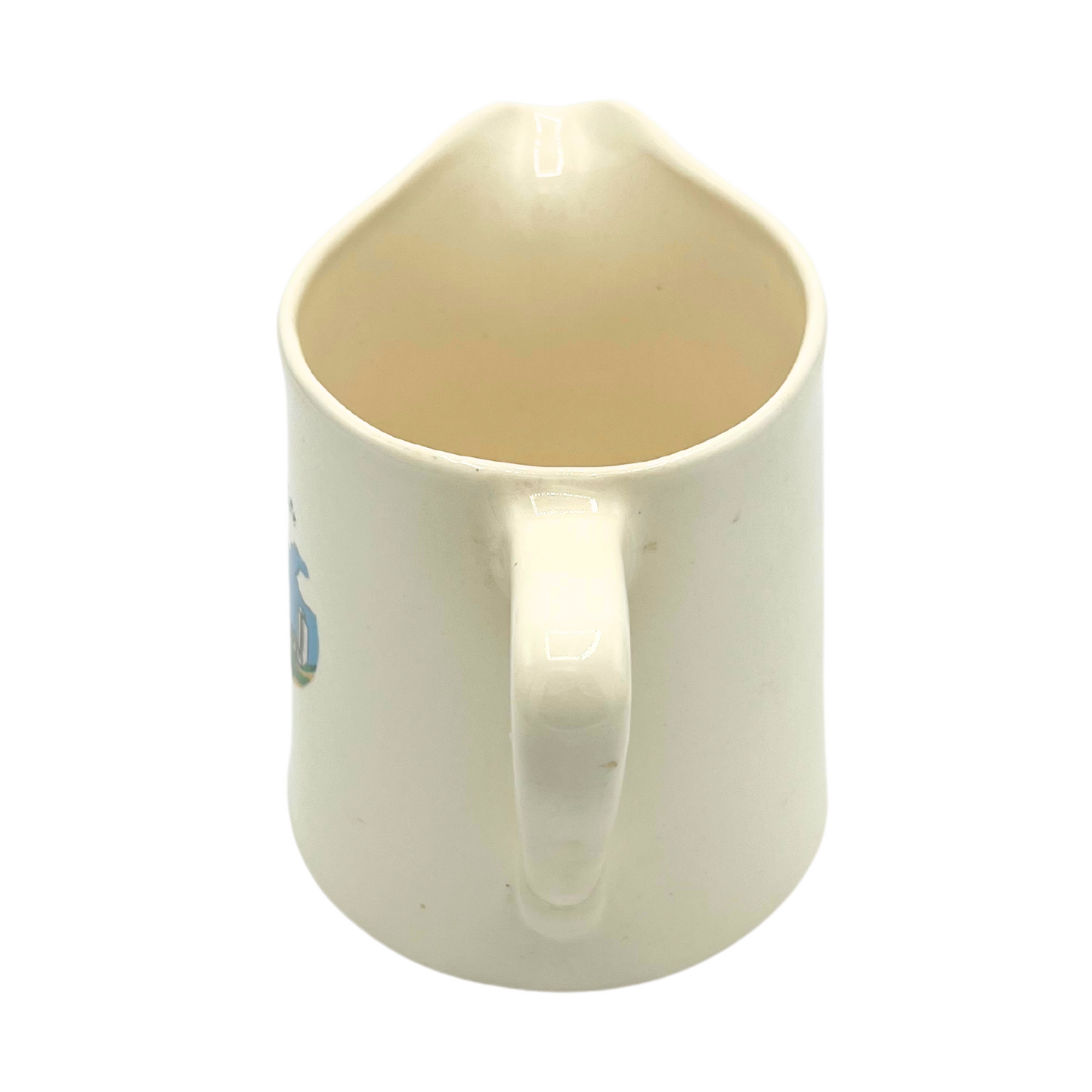 vintage Montauk pitcher