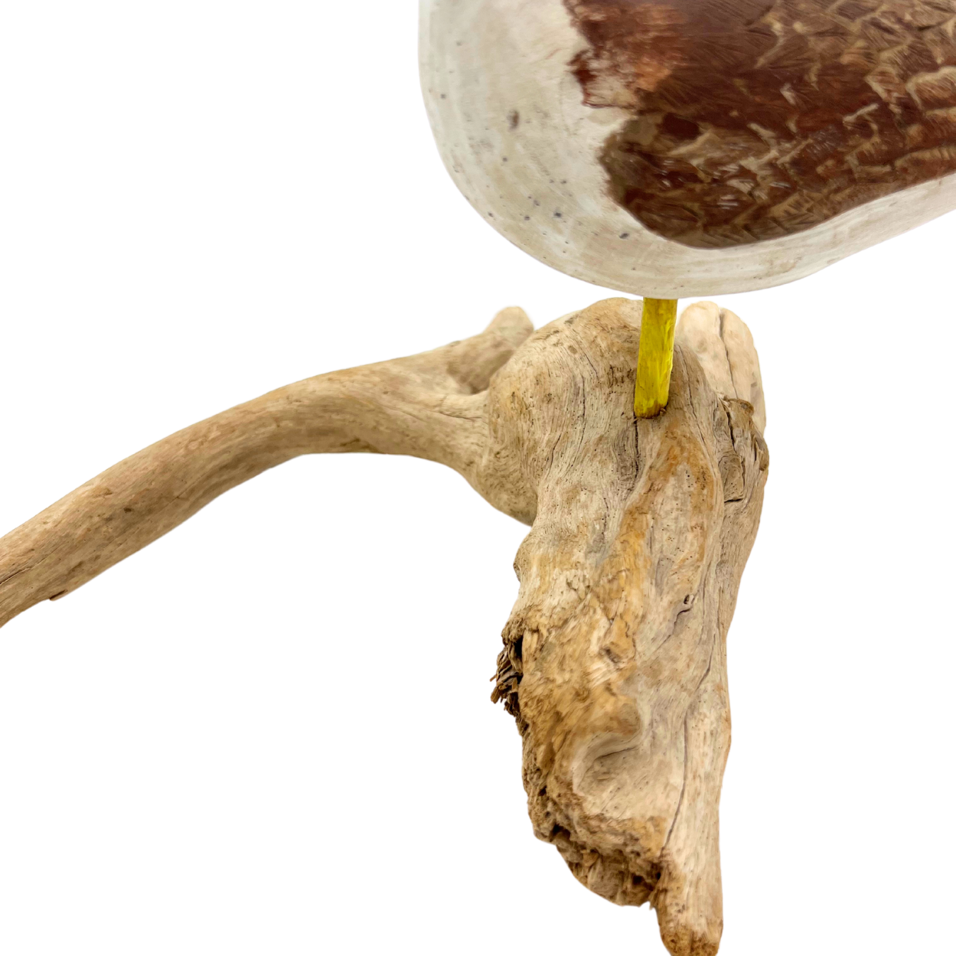 vintage shorebird on driftwood
