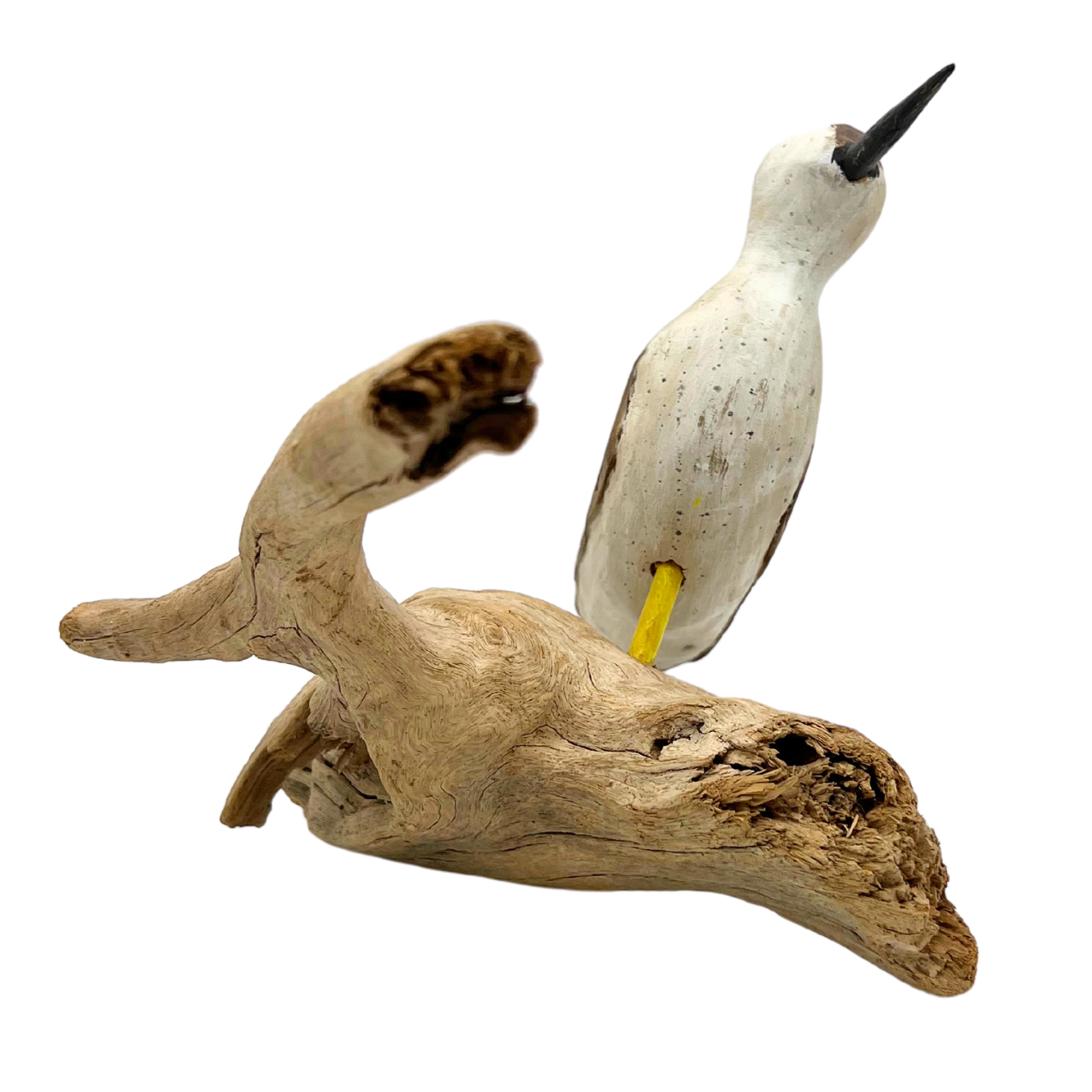 vintage shorebird on driftwood