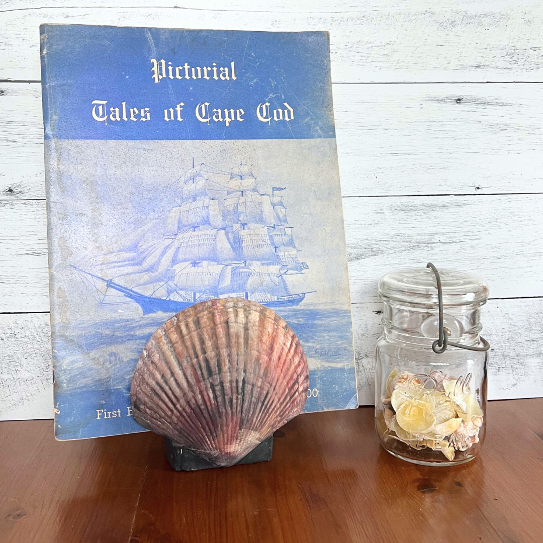 ceramic scallop napkin holder