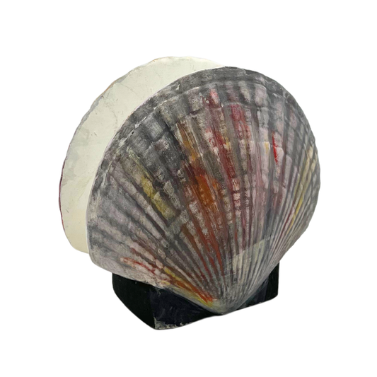 ceramic scallop napkin holder