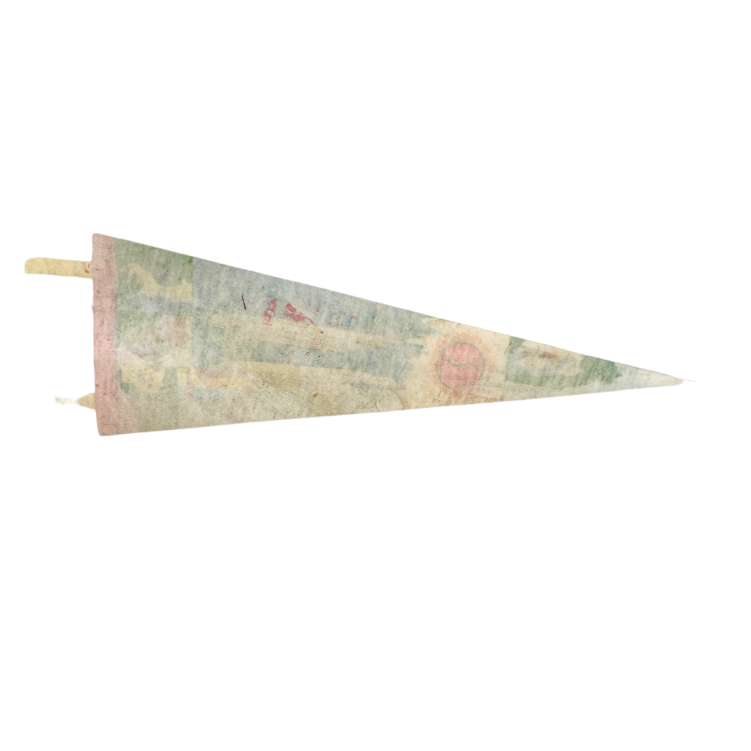 vintage Home Lines cruises pennant