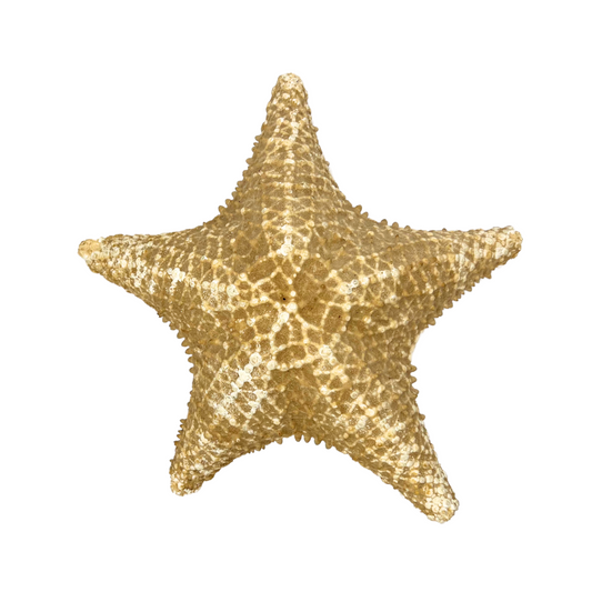 vintage cushion starfish