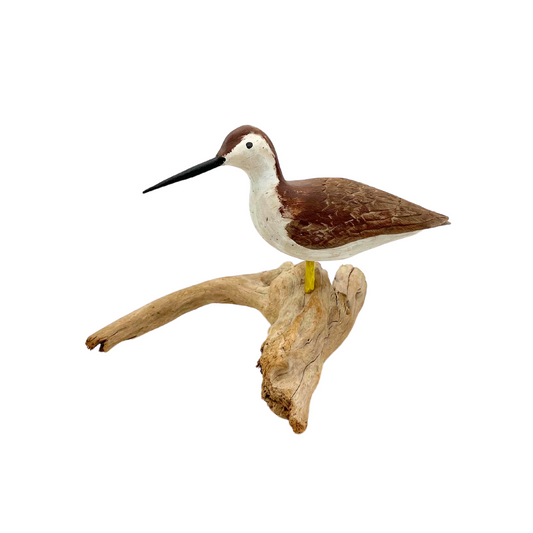 vintage shorebird on driftwood