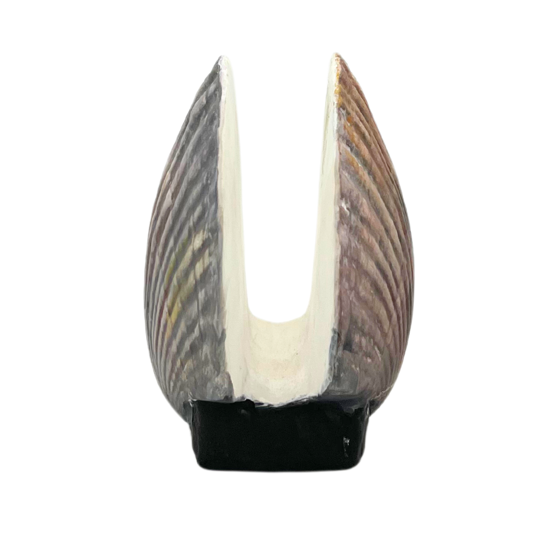 ceramic scallop napkin holder