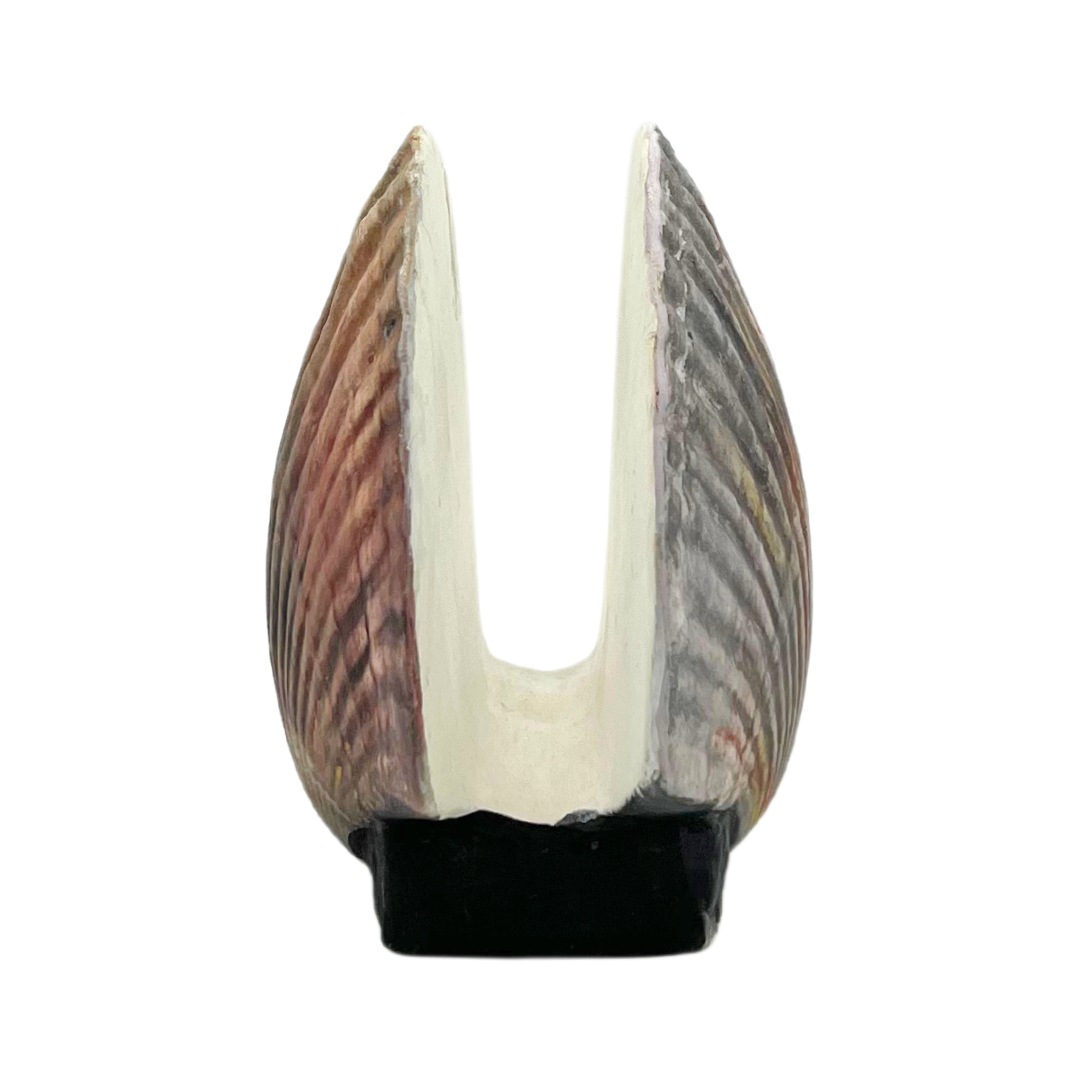 ceramic scallop napkin holder